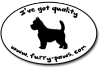 I've Got Quality Norwich Terriers on Furry-Paws.com