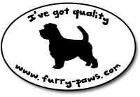 I've Got Quality Norfolk Terriers on Furry-Paws.com