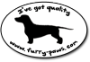 I've Got Quality Miniature Dachshunds on Furry-Paws.com