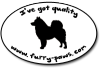 I've Got Quality Eurasiers on Furry-Paws.com