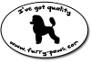I've Got Quality Toy Poodles on Furry-Paws.com