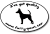 Rat Terrier