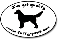 I've Got Quality Nova Scotia Duck Tolling Retrievers on Furry-Paws.com