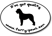 I've Got Quality Spinone Italianos on Furry-Paws.com