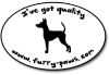 I've Got Quality Toy Fox Terriers on Furry-Paws.com