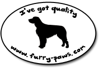 I've Got Quality Boykin Spaniels on Furry-Paws.com