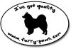 I've Got Quality Japanese Spitzs on Furry-Paws.com