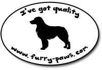 I've Got Quality Miniature Australian Shepherds on Furry-Paws.com