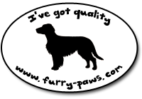 I've Got Quality Welsh Springer Spaniels on Furry-Paws.com