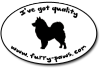 Finnish Lapphund