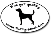 I've Got Quality English Foxhounds on Furry-Paws.com