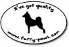 I've Got Quality Norwegian Buhunds on Furry-Paws.com