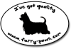 I've Got Quality Silky Terriers on Furry-Paws.com