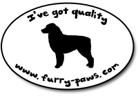 I've Got Quality Border Collies on Furry-Paws.com