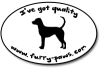 I've Got Quality Bluetick Coonhounds on Furry-Paws.com