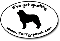 I've Got Quality Saint Bernards on Furry-Paws.com