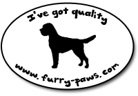I've Got Quality Border Terriers on Furry-Paws.com