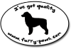 I've Got Quality Australian Shepherds on Furry-Paws.com