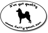 Karelian Bear Dog