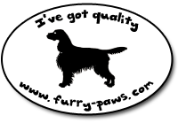 I've Got Quality English Springer Spaniels on Furry-Paws.com