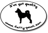 I've Got Quality Shiba Inus on Furry-Paws.com