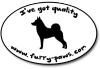 Finnish Spitz