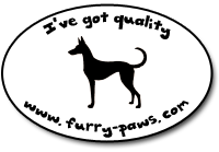 I've Got Quality Ibizan Hounds on Furry-Paws.com