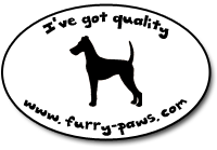 I've Got Quality Irish Terriers on Furry-Paws.com