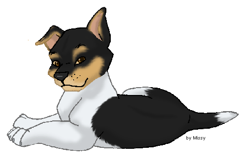 smoothcollie403_4.gif