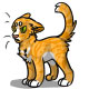Sandy the Mean Orange Tabby Cat