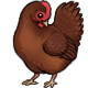 Chick Jagger the Rhode Island Red Hen