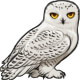 Heidrun the Snowy Owl