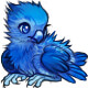 Baby Blue Icy the Icy Phoenix Chick