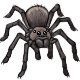 Halloween the Friendly Spider