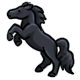 Yeehaw! the Feisty Black Pony