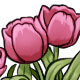 fg_tulips_pink.jpg
