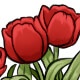 fg_tulips_red.jpg