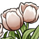fg_tulips_white.jpg