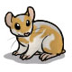 Hamtaro the Cinnamon Hamster