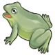 Purchase Squeaky Frog