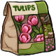 tulips_pink.jpg