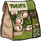 tulips_white.jpg