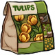 tulips_yellow.jpg
