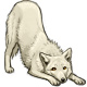 Kei Tsukishima the Gentle White Wolf