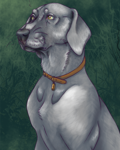 Weimaraner_654266.png