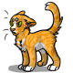 Firestar the Mean Orange Tabby Cat