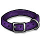 Purchase Nylon Purple Collar