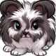 Cookie the Piebald Angora