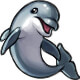 Daphne the Friendly Dolphin