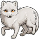 Winter the Arctic Fox